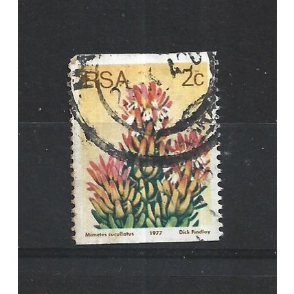 SouthAfrica.SG432 2c Mimetes Cucullatus.Fine Used.Sep25p