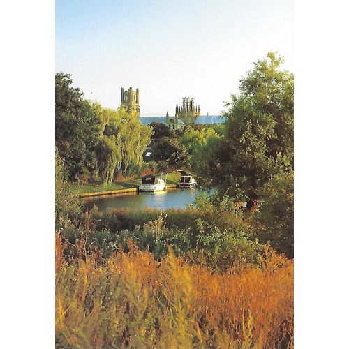 1) Ely.