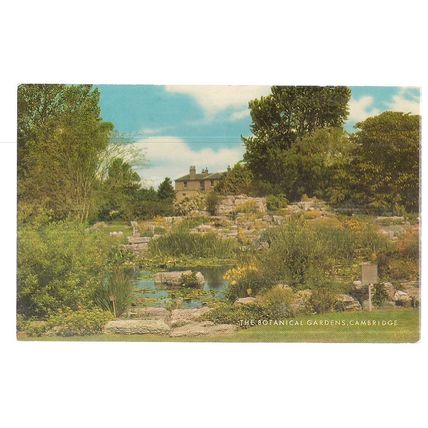 THE BOTANICAL GARDENS, Cambridge used vintage postcard 1972 postmark =