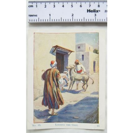 Vintage: Scholar's Lesson Picture Story No. 13 Loosing the Colt