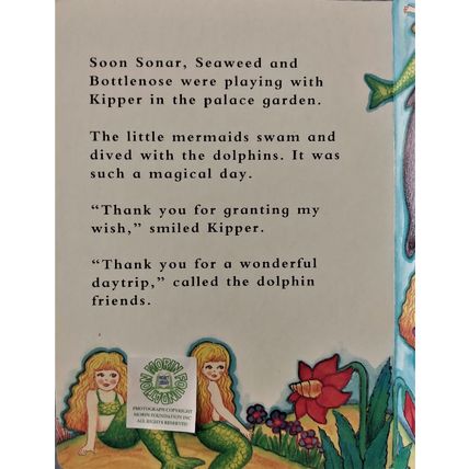 THE DOLPHIN DAYTRIP by COLLEEN PAYNE ILLUSTRATED BOARD BOOK