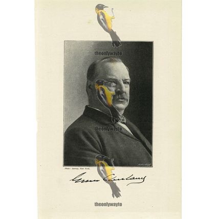 General Grover Cleveland, US President, Book Illustration (Print), 1895