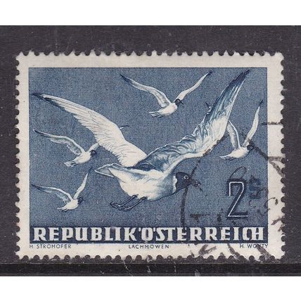 Austria 1950 Black Headed Gulls 2s Used SG 1217 VGC