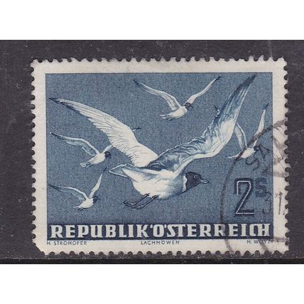 Austria 1950 Black Headed Gulls 2s Used SG 1217 VGC