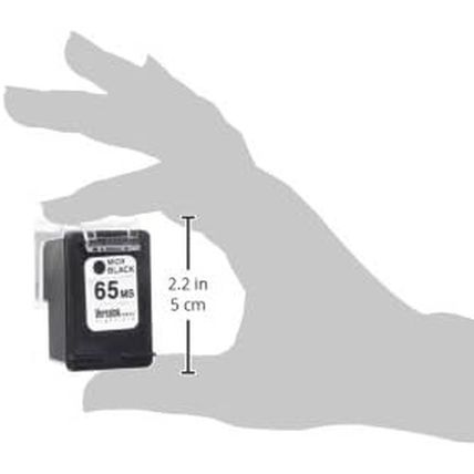Versaink-Nano HP 65 MS MICR Black Ink Cartridge for Check Printing, 1