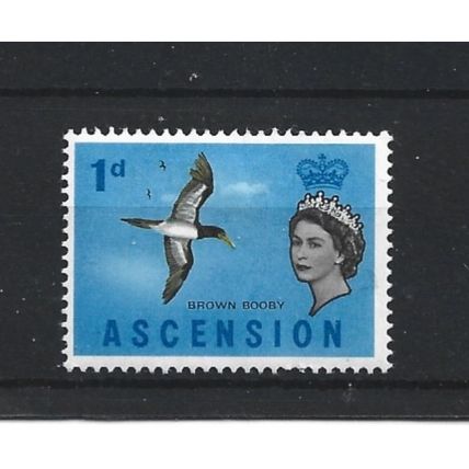 Ascension.SG70 1d Brown Bobby.Mounted Mint.Aug24b