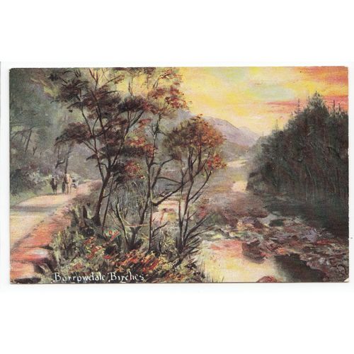 Borrowdale Birches Cumbria S Hildesheimer Art Postcard 5409