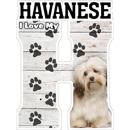I Love My Havanese Fridge Magnet