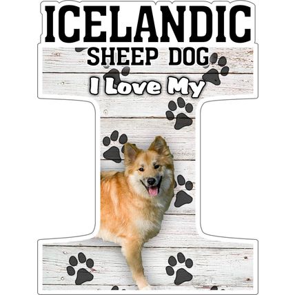 I Love My Icelandic Sheep Dog Fridge Magnet