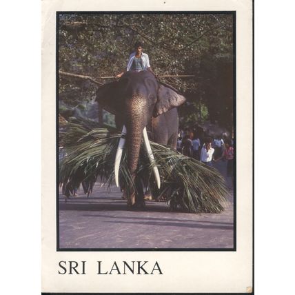 Sri Lanka Postcard - Elephant And Lunch