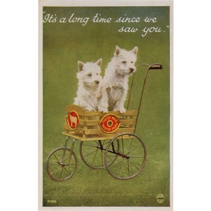 Dogs Advertising Fresh Farm Dairy Milk Cart Transportation Old Postcard