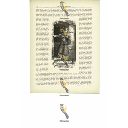 Woman Of Bokhara (Bukhara), Uzbekistan, Book Illustration (Print), c1880