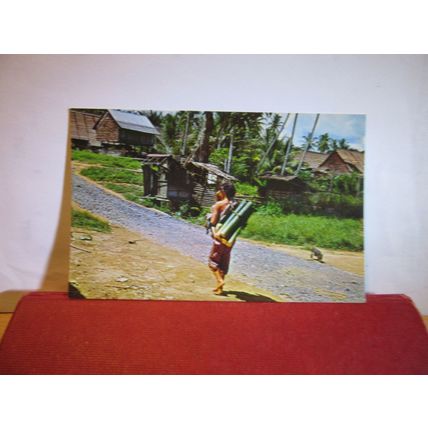 LAND DAYAK, BAMBOO CUTTER, SARAWAK, MALAYSIA unused postcard =