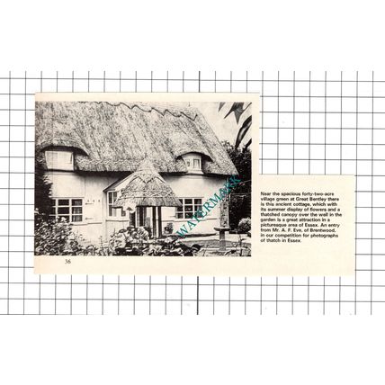 Great Bentley Essex Cottage - 1972 Clipping