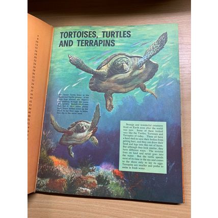 1968 "THE THIRD TREASURE BOOK OF ANIMALS" ANNUAL HARDBACK BOOK (P4)