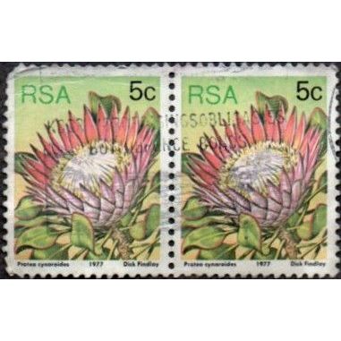 South Africa. 1977 5c Value. Protea cynaroides. Fine Used Pair. Yellow green