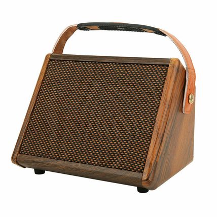 Flatsons Crush 15 Portable Acoustic Guitar Amplifier Amp BlueTooth Speaker 15W