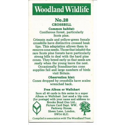 Woodland Wildlife 1980 Brooke Bond Tea Card 28 - Crossbill