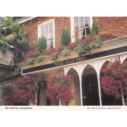 The Old Vine Pub Winchester Hampshire Postcard