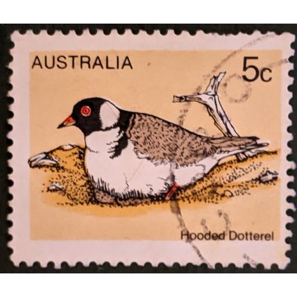 STAMP Australia SG671 1978 5c Birds Hooded Plover Used