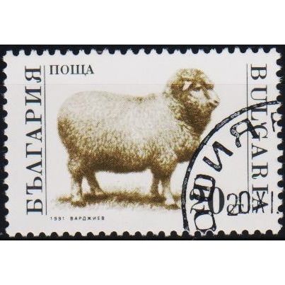 Bulgaria. 1991 20s S.G.3728 Used