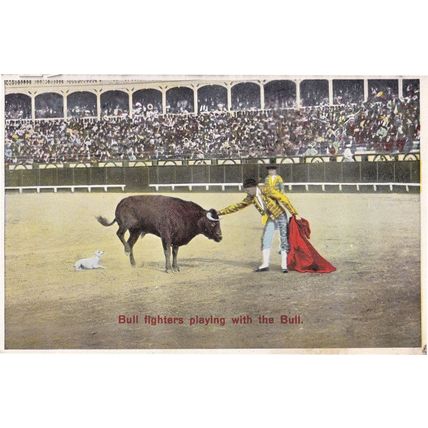 Bull Fighters Playing With The Bull Antique Spanish Matador Postcard