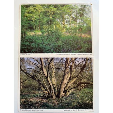 2 X POSTCARDS - NOBOTTLE WOODS / EVERDON STUBBS