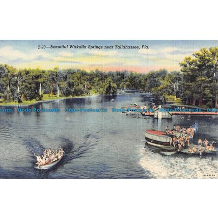 R054111 Beautiful Wakulla Springs near Tallahassee. Fla. H. B. Dover