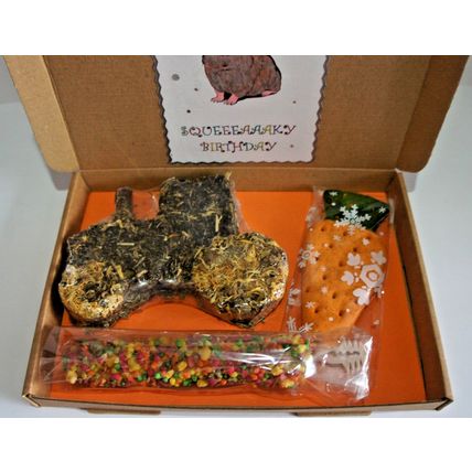 GUINEA PIG BIRTHDAY BOX DECORATED BOX WITH TRACTOR CARROT & HONEY BAR TREATS