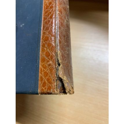 RARE* 1888 LORD LYTTON "THE CAXTONS" FICTION ANTIQUE FINE BINDING BOOK (P3)