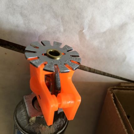 Automatic Sprinkler Chrome DS1 PENDENT ESC QR 155 Chrome/chrome 9in,1975877,AZ