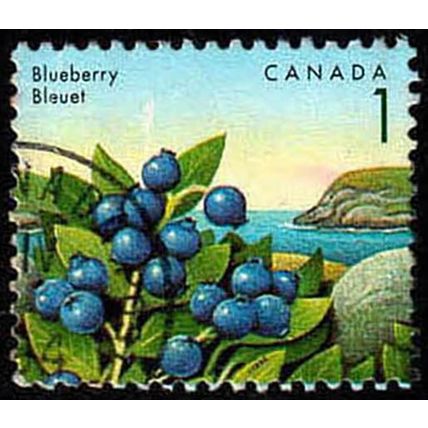 Canada 1992 Edible Fruit 1c Used Stamp