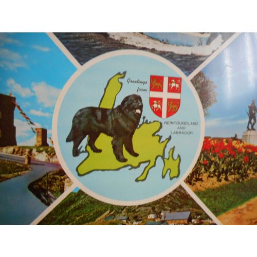 Newfoundland Vintage Souvenir Tray,the William Carson,Dog,Petty Harbour