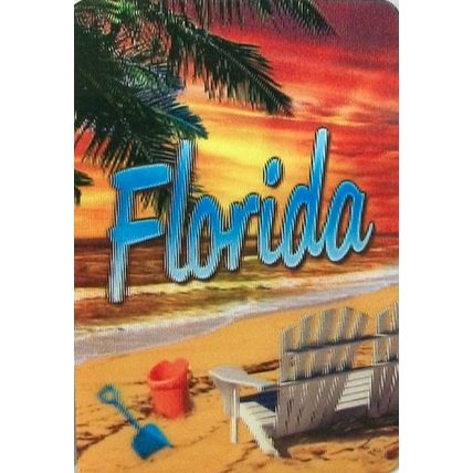 Florida the Sunshine State 3D Fridge Magnet