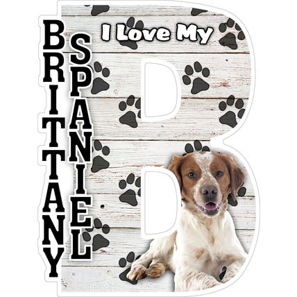I Love My Brittany Spaniel Fridge Magnet