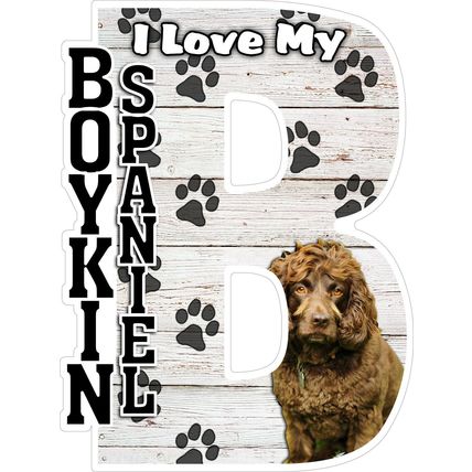 I Love My Boykin Spaniel Fridge Magnet