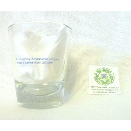 UCLA BRUINS UNIVERSITY OF CALIFORNIA LOS ANGELES SHOT GLASS