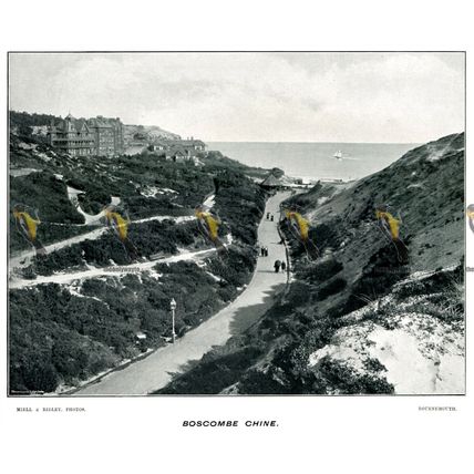 Boscombe Chine, Bournemouth, England, Beales 1890s, MODERN REPRODUCTION