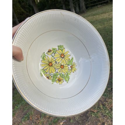 VTG MCM- 6 Coupe Cereal Bowls & 1 Serving Bowl- Staffordshire England Summertime