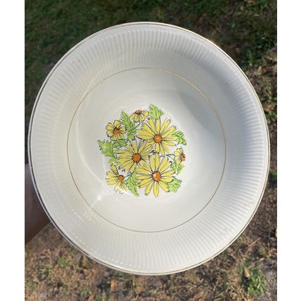 VTG MCM- 6 Coupe Cereal Bowls & 1 Serving Bowl- Staffordshire England Summertime