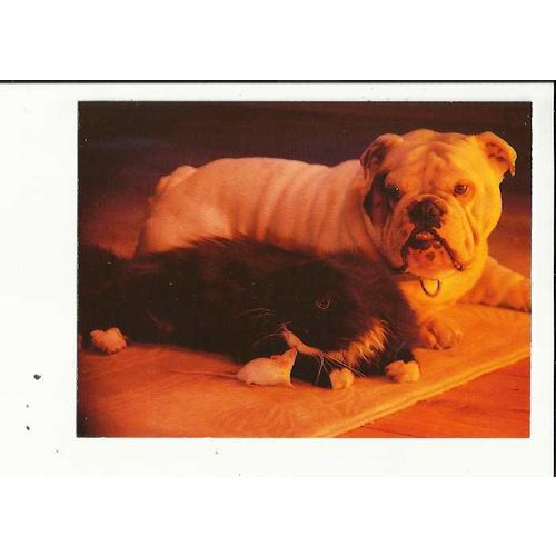 FURRY FRIENDS 2 Athena Postcard (0650327)