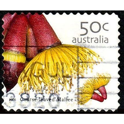 Australia 2005 Flower 50c Used P&S Stamp 11.25 Perf Mallee .