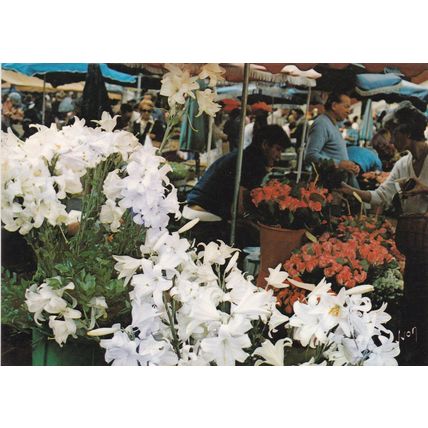Nice Marche Fleurs France Postcard 1982 used VGC