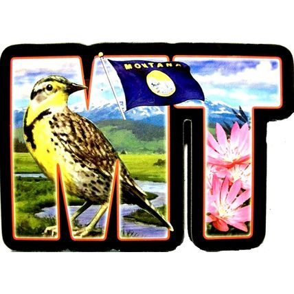 Montana the Treasure State Artwood Initial Fridge Magnet