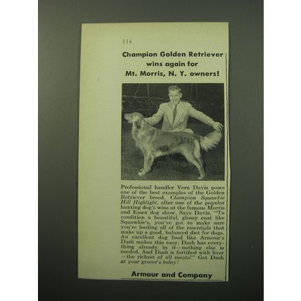 1950 Armour and Company Dash Dog Food Ad - Champion golden retriever wins again