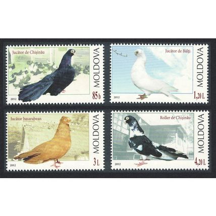 Moldova Breeds of Pigeon Birds 4v 2012 MNH SG#782-785 MI#799-802