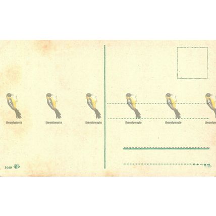 Cernobbio, Villa d'Este, Switzerland, pTp 1049 Postcard, 1927