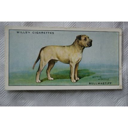 1937 Wills Dogs No. 7 Bullmastiff