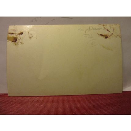 HOLFORD, SOMERSET RP unused vintage postcard #