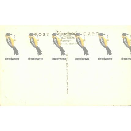 West Princes Street Gardens, Edinburgh, Salmon RP Postcard